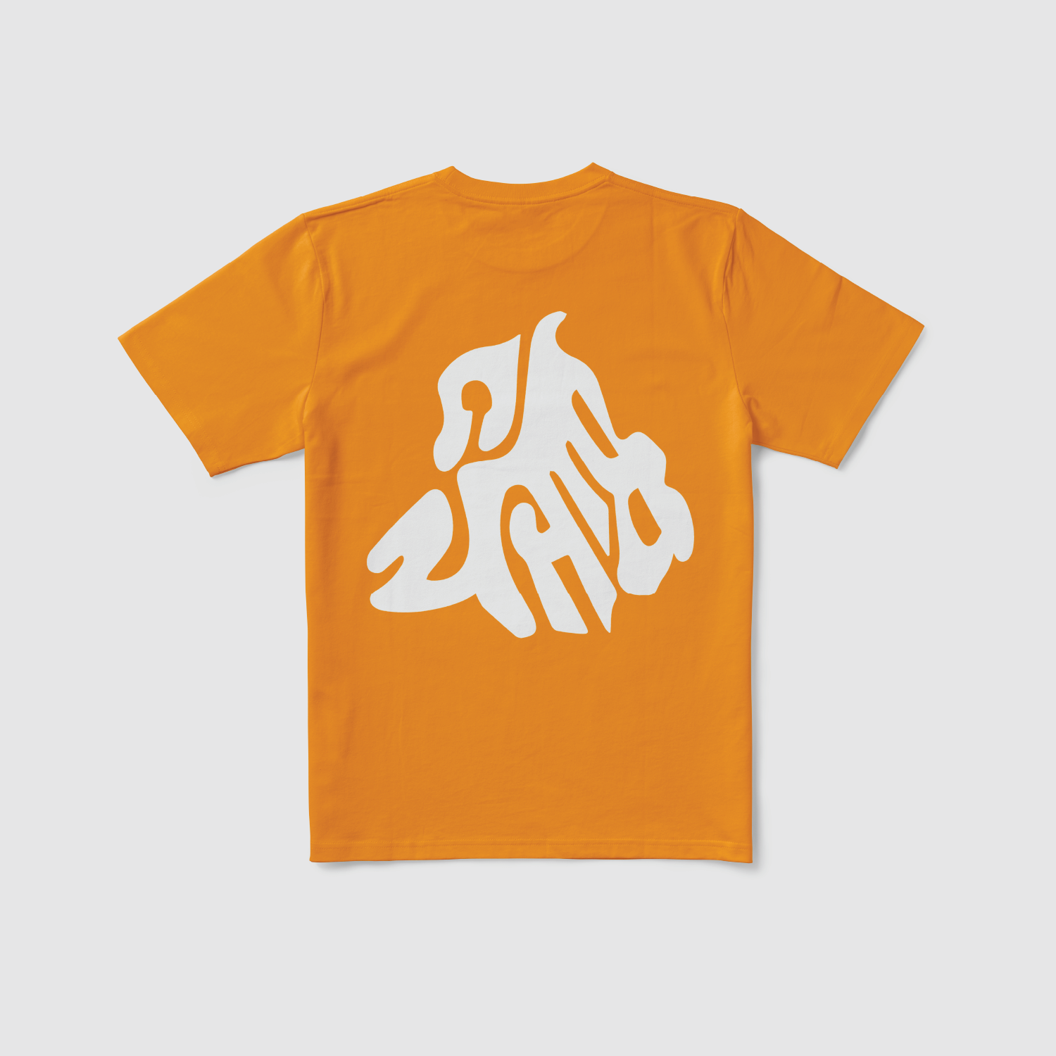 Punjabi Punjab Map Graphic Illustration Essential Tee by Urban Minimals